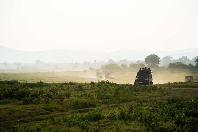 Tangalle/Hiriketiya: Yala National Park Safari in a 4x4 - Yala from Tangalle and Hiriketiya: what the day is really about