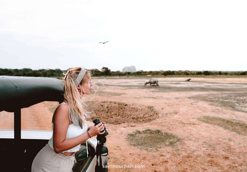 Tangalle/Hiriketiya: Yala National Park Safari in a 4x4 - Birdwatching adds value to a quiet safari