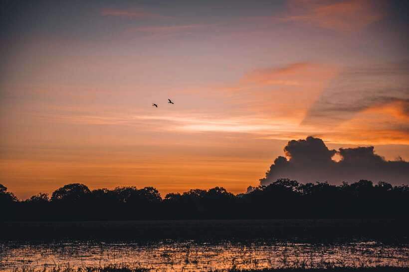 Tangalle/Hiriketiya: Yala National Park Safari in a 4x4 - The early pickup and the road to the park