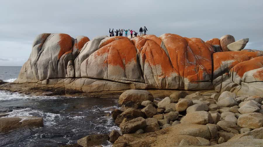 Tasmania: Wilderness and Wildlife Guided 6-Day Tour - What $831 buys you across six days