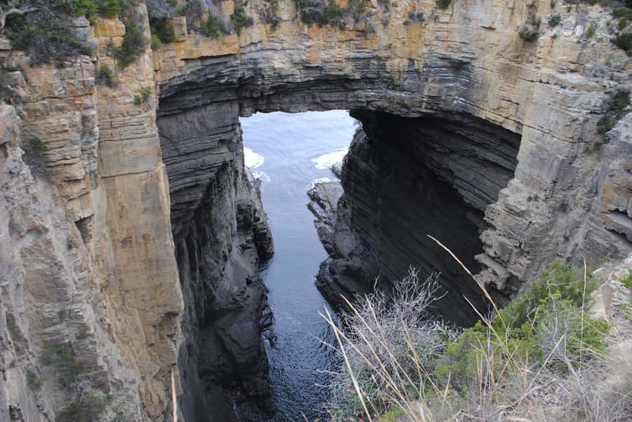 Tasmania: Wilderness and Wildlife Guided 6-Day Tour - Day 4: Cataract Gorge and the Bay of Fires