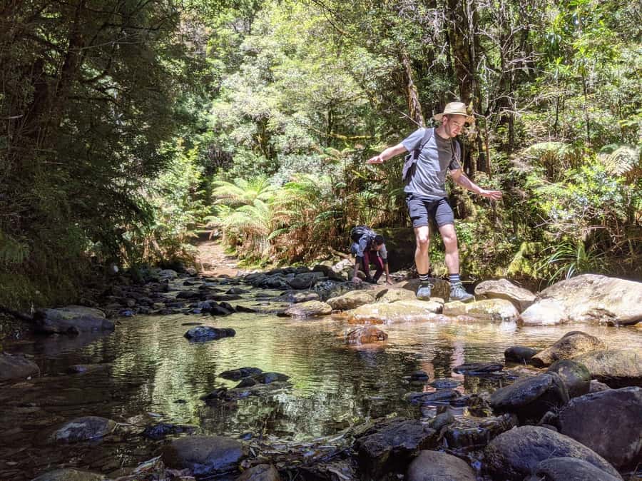 Tasmania: Wilderness and Wildlife Guided 6-Day Tour - Day 5: Freycinet, Wineglass Bay, and Cape Tourville