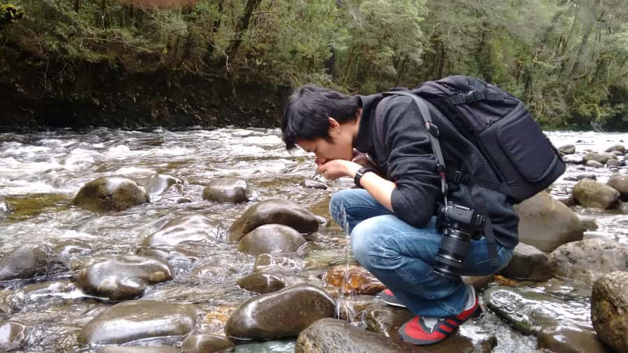 Tasmania: Wilderness and Wildlife Guided 6-Day Tour - Walking level, transport, and accommodation