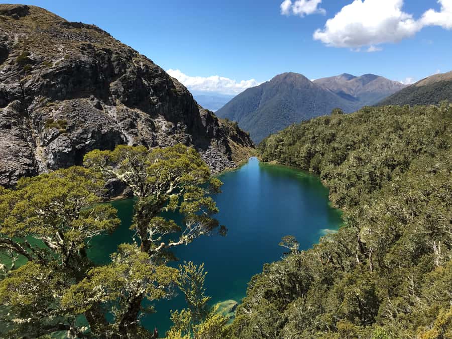 Te Anau: 30-Minute Fiordland National Park Scenic Flight - Flying beyond Te Anau in 30 minutes