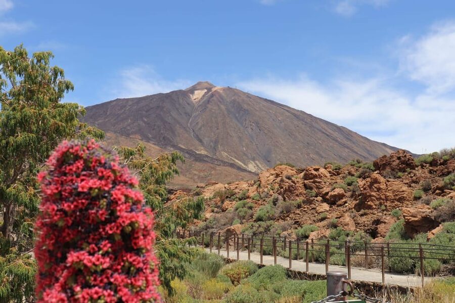 Teide National Park and Vilaflor - Pine forest, Vilaflor, and the Pino Gordo