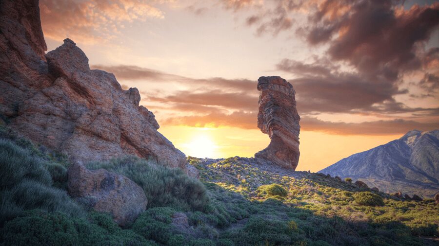 Teide National Park: Landscapes and Viewpoints Private Tour - Hotel pickup and a six-hour private route