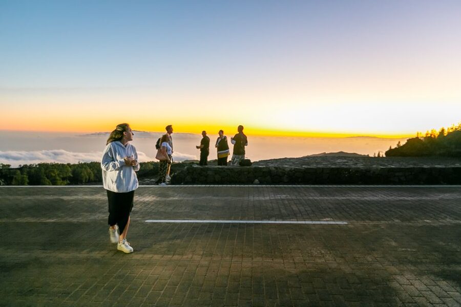 Teide National Park: Sunset & Stargazing Safari with Dinner - Price, timing, and who gets the best value