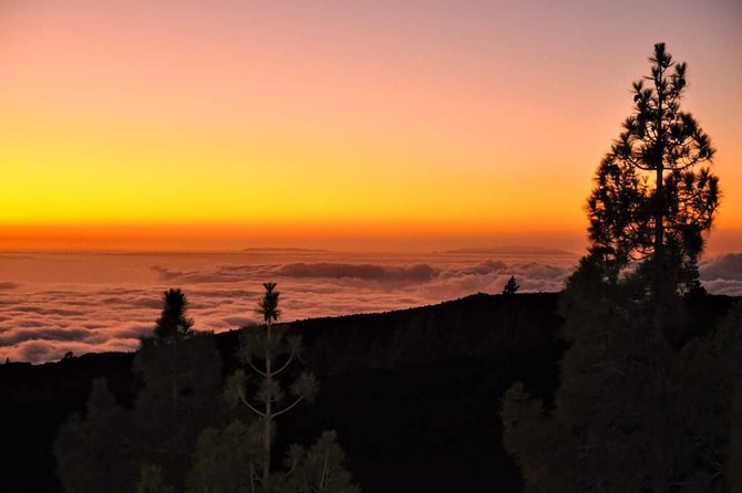 Teide National Park Sunset & Stargazing with Dinner (Star Safari) - Stargazing with four telescopes