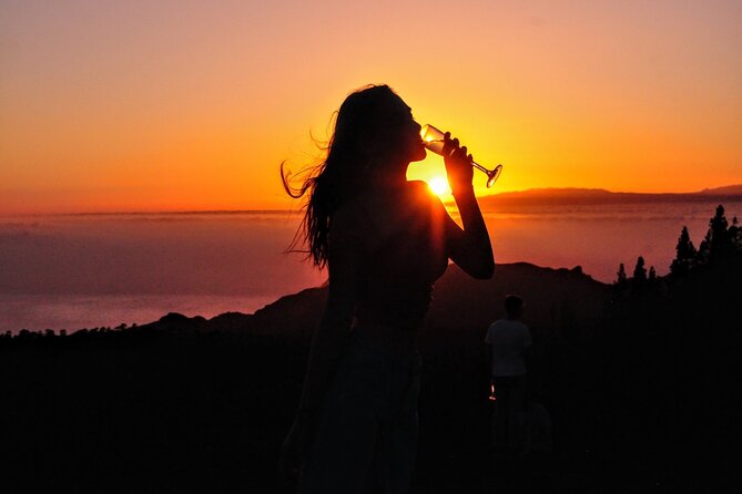 Teide National Park Sunset & Stargazing with Dinner (Star Safari) - Cold, darkness, and standing around