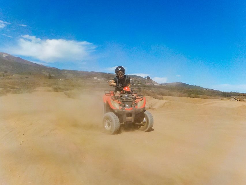 Tenerife: Quad Adventure Tour in Teide National Park - Pine forest, clouds, and changing temperatures