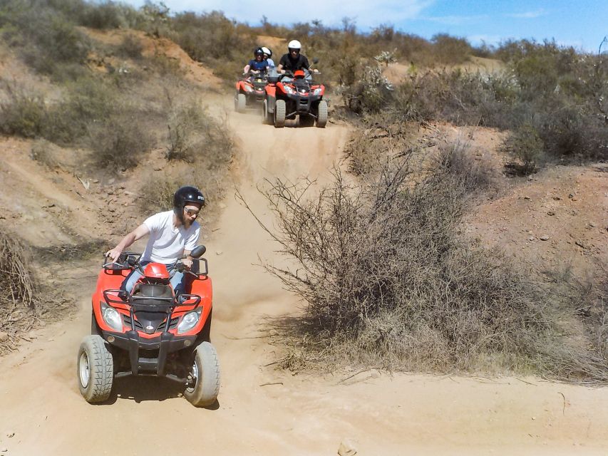 Tenerife: Quad Adventure Tour in Teide National Park - Single quad or double quad?