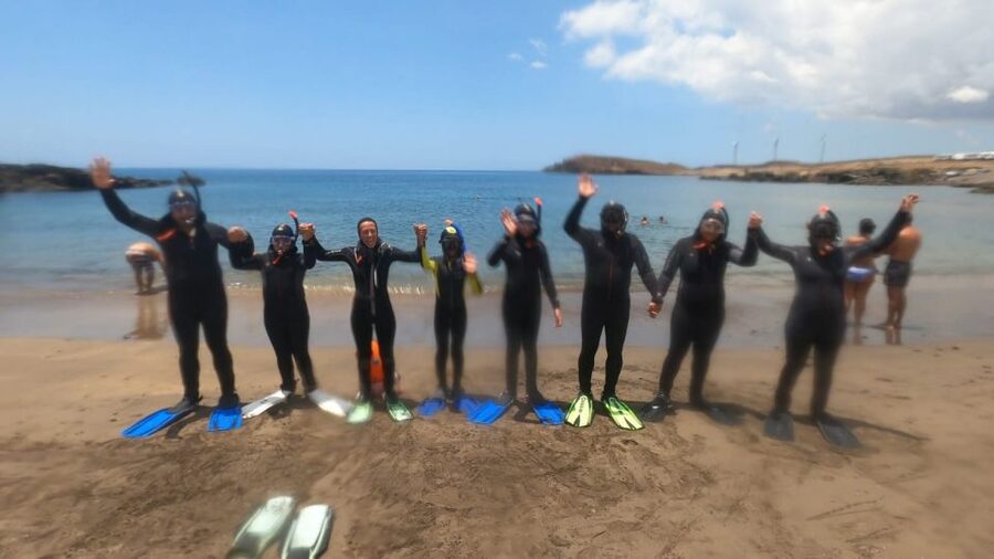 Tenerife: Snorkeling Tour in a Marine Protected Area - Practical details worth remembering