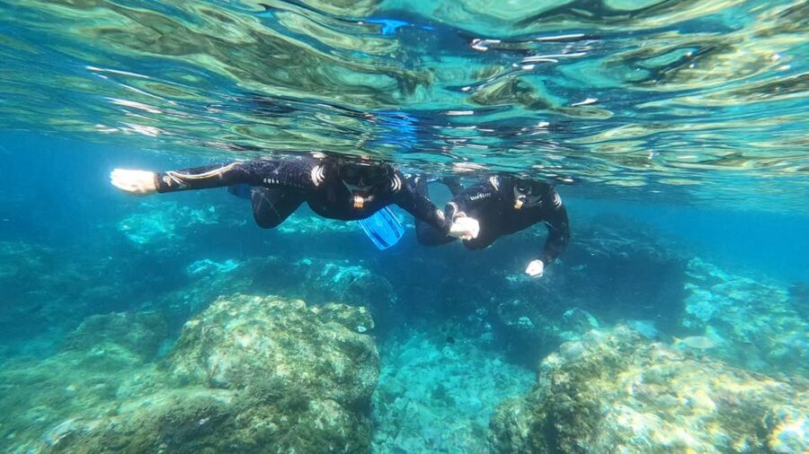 Tenerife: Snorkeling Tour in a Marine Protected Area - What the 50-minute snorkel is like