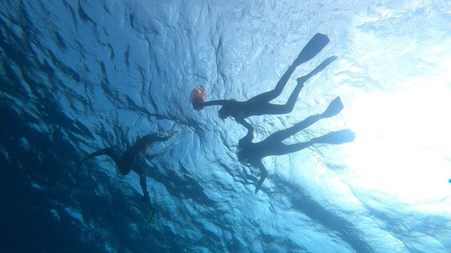Tenerife: Snorkeling Tour in a Marine Protected Area - Is $45 a fair price for two hours?