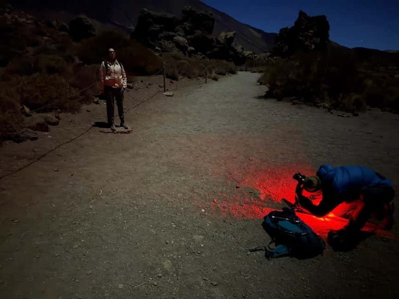 Tenerife: Stargazing Walk in Teide National Park - Key points at a glance