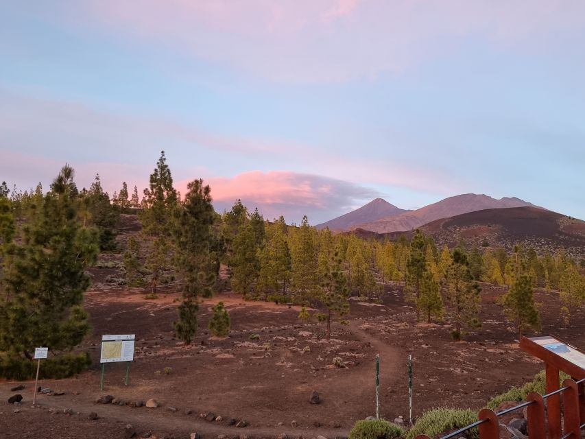 Tenerife: Sunset and Stargazing at Teide National Park - Choosing VIP or self-drive