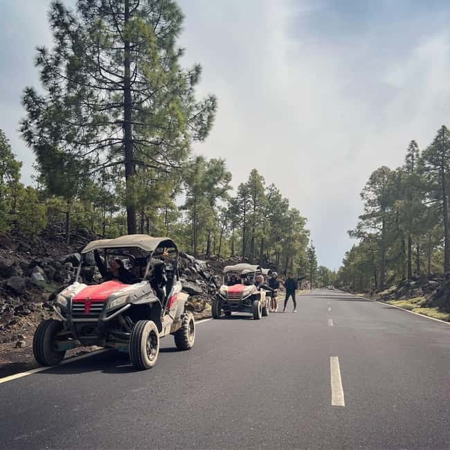 Tenerife: Teide National Park and Volcano Buggy Tour - Key points before you book