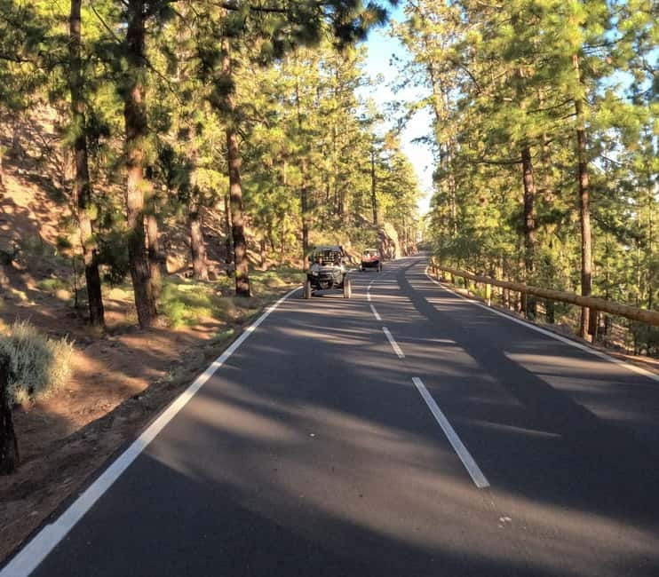 Tenerife: Teide National Park and Volcano Buggy Tour - Price and value for two people