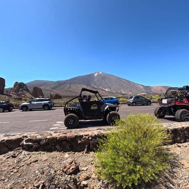 Tenerife: Teide National Park and Volcano Buggy Tour - Who should choose this tour