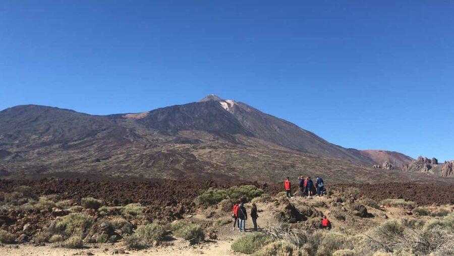 Tenerife: Teide National Park Buggy Tour with Hotel Transfer - Boca Tauce and the high park scenery