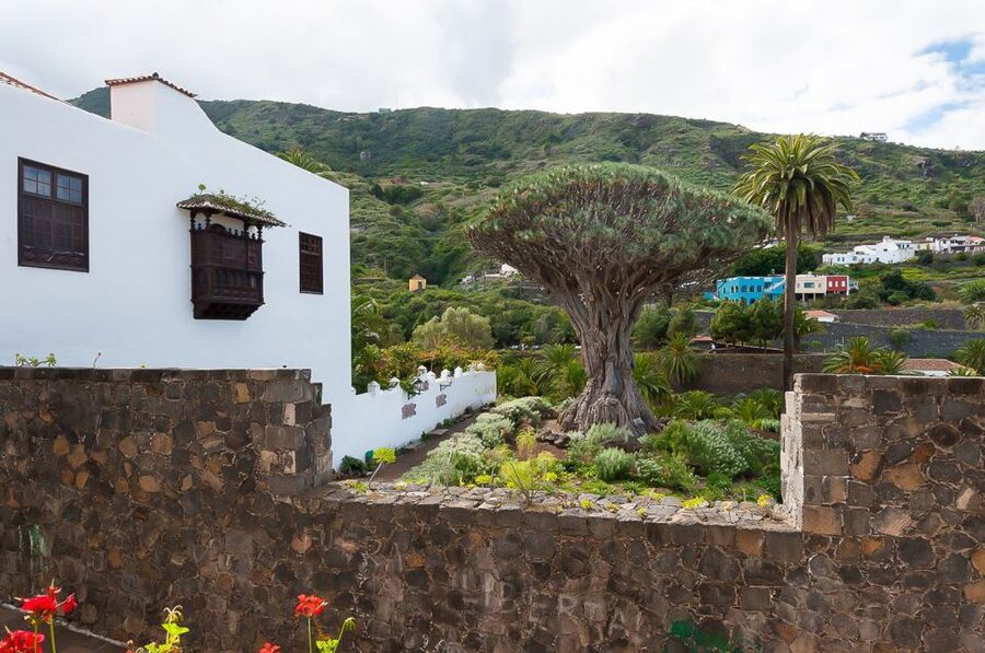 Tenerife: Teide National Park Full-Day Tour with Pickup - Why this $66 Tenerife tour earns its place