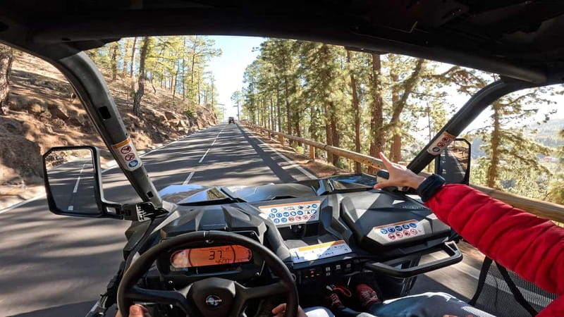 Tenerife: Teide National Park Guided Buggy Tour - From southern Tenerife to the mountain road