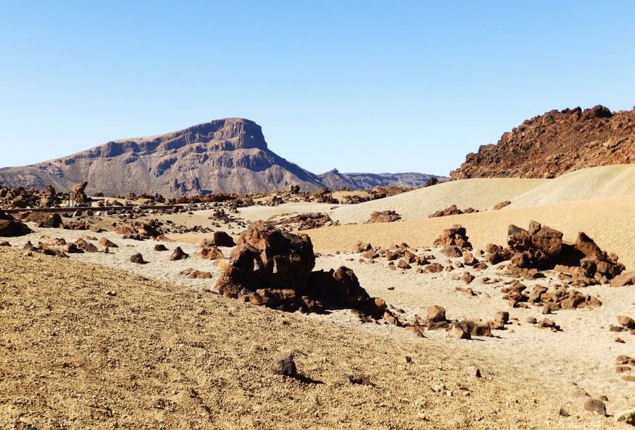 Tenerife: Teide National Park & Teno Rural Park Private Tour - A slower lunch with regional food