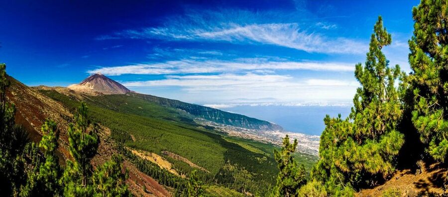 Tenerife: Teide National Park & Teno Rural Park Private Tour - Why a private tour changes the experience