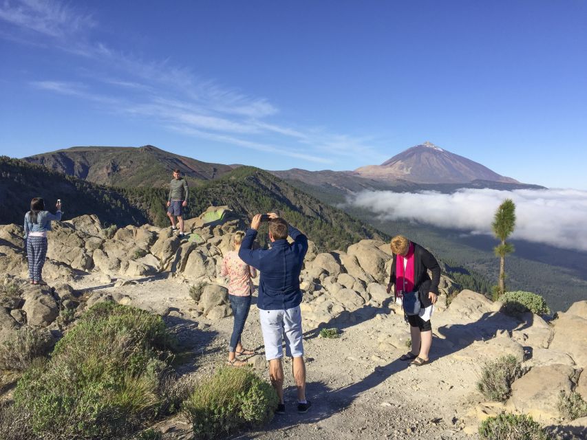 Tenerife: Teide National Park & Teno Rural Park Private Tour - Who will enjoy this day most?