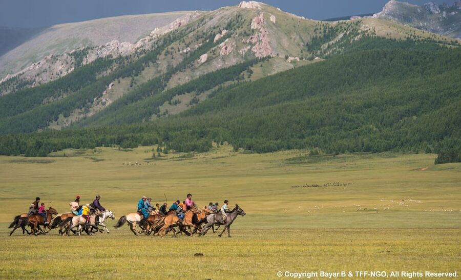 Terelj National Park: Tour with horse riding and hiking - Turtle Rock is the first big natural stop