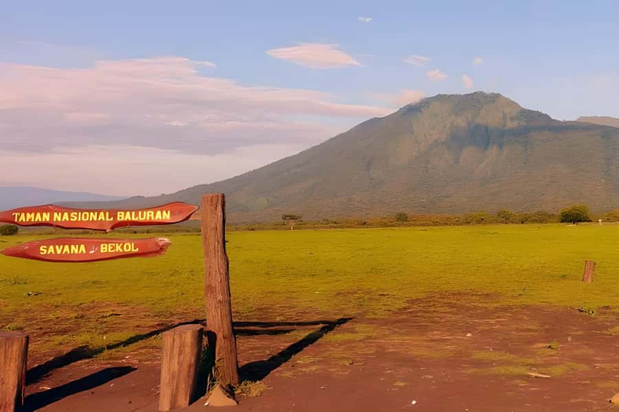 The Authentic Sunset Of Baluran National Park Banyuwangi - Key points to know before booking
