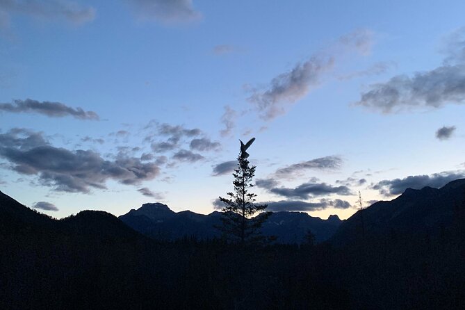 The Banff Stargazing Tour - 2hr Walking Tour - A simple start at Cave and Basin