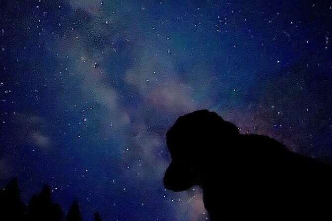 The Banff Stargazing Tour - 2hr Walking Tour - What you might see in the night sky