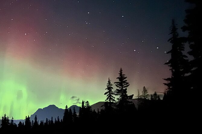 The Banff Stargazing Tour - 2hr Walking Tour - The value of the $68.34 price