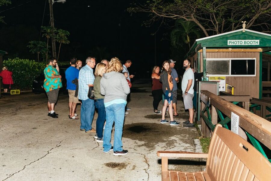 The Everglades: 1-Hour Airboat Night Tour - Who will enjoy this most?