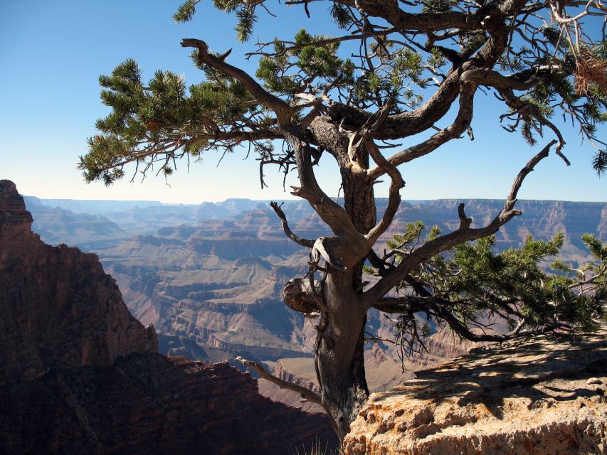 The Grand Canyon Classic Tour From Sedona, AZ - The morning route through Oak Creek Canyon and Flagstaff