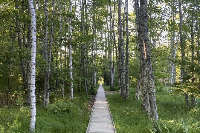 The Way Life Should Be: 4-hr, Private Guided Tour of Acadia NP. - Wild Gardens and the choice to walk