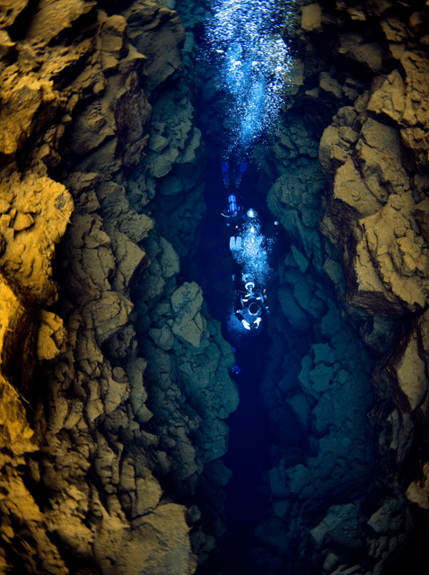 Thingvellir: Silfra Fissure Diving with Optional Pickup - Key points to know before booking
