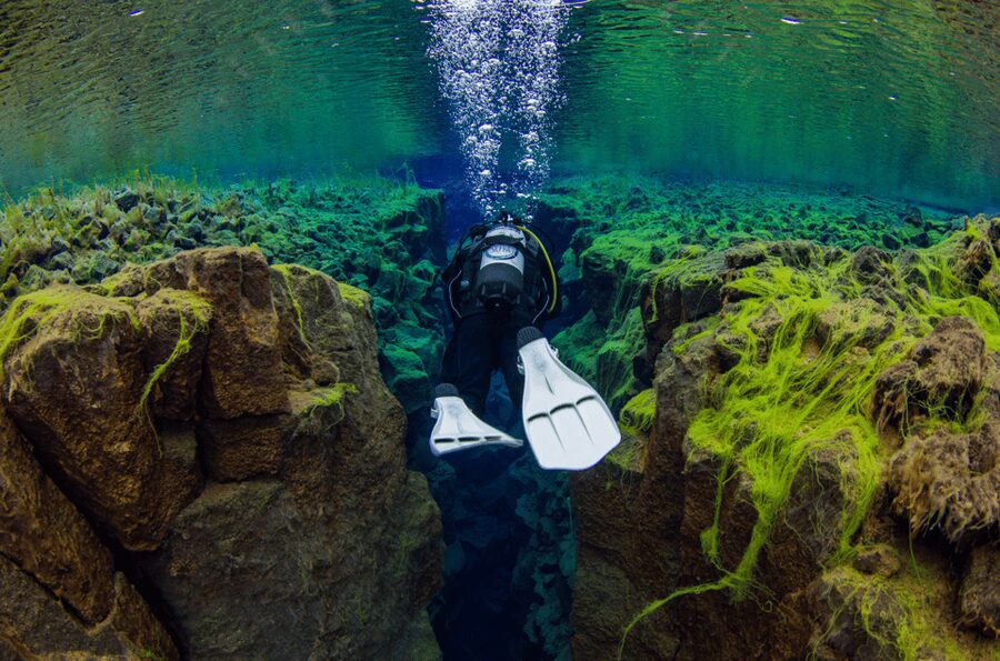 Thingvellir: Silfra Fissure Diving with Optional Pickup - Who should skip this outing