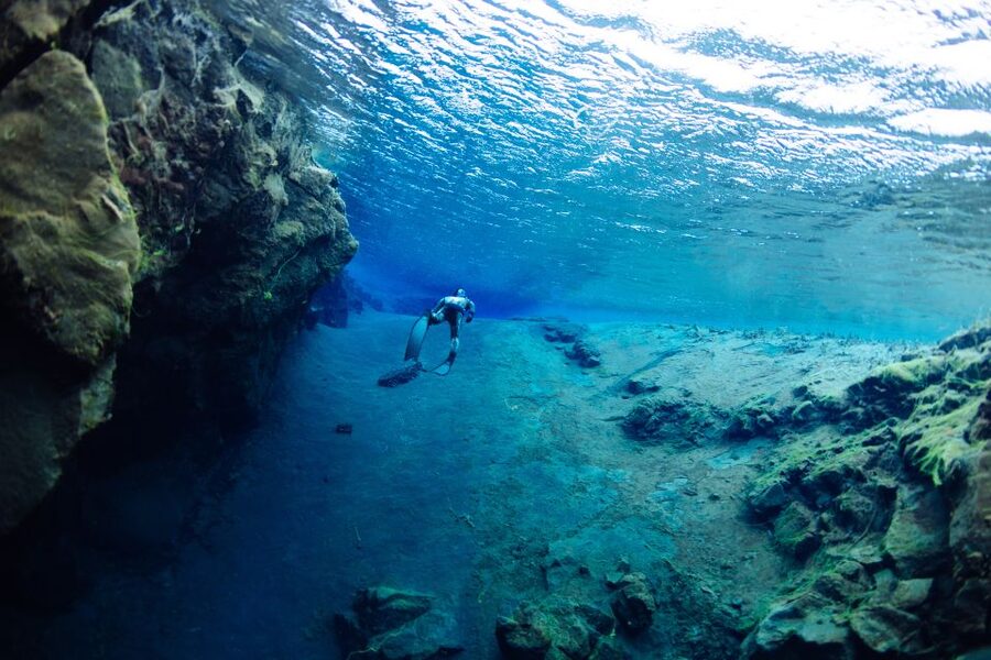 Thingvellir: Silfra Freedive Adevnture with a Guide - Key points to know before booking
