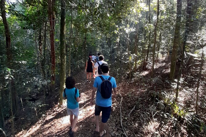 Tijuca National Park and all its wonders - Why Tijuca National Park makes such a good Rio morning