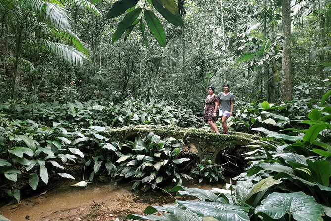 Tijuca National Park and all its wonders - Smaller waterfalls and the chance to bathe