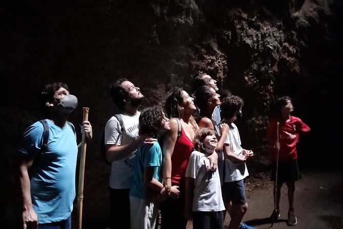 Tijuca National Park and all its wonders - A small group changes the whole day