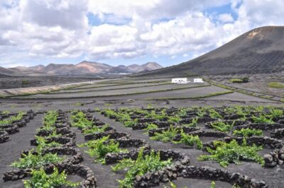 Timanfaya And El Golfo For Cruise Passengers (Mornings)