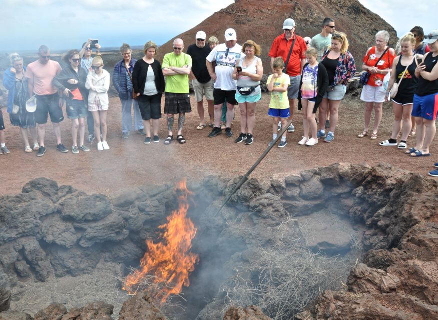 Timanfaya And El Golfo For Cruise Passengers (Mornings) - La Geria shows how Lanzarote farms volcanic soil