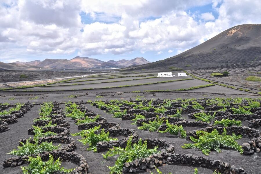 Timanfaya And El Golfo For Cruise Passengers (Mornings) - Hilario’s Plateau and the heat below your feet