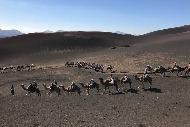 Timanfaya & Lanzarote Volcano Experience - The Volcanoes Route from a restricted minibus