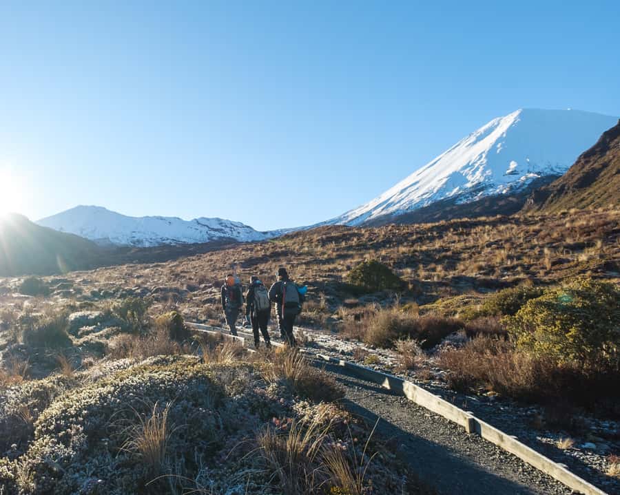Tongariro Alpine Crossing: Premium Guided Hike - Starting at 53 Carroll Street in National Park