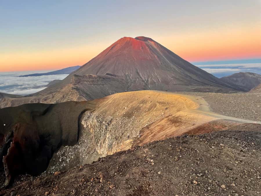 Tongariro Alpine Crossing: Round-Trip Shuttle Service - Key points to know before you book