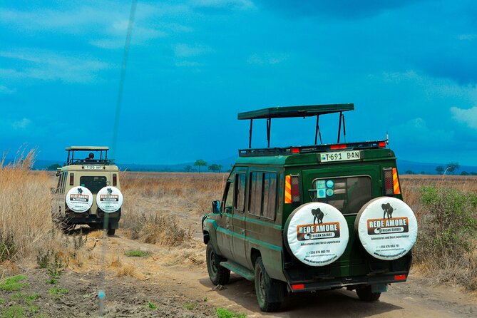 Top Best 5 Days Tanzania Luxury Safari to Serengeti - Day one: Tarangire’s elephants and baobab country